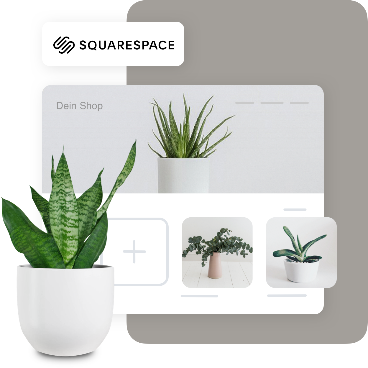 Squarespace_Main-1625501784